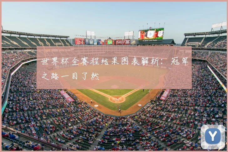 世界杯全赛程结果图表解析:冠军之路一目了然