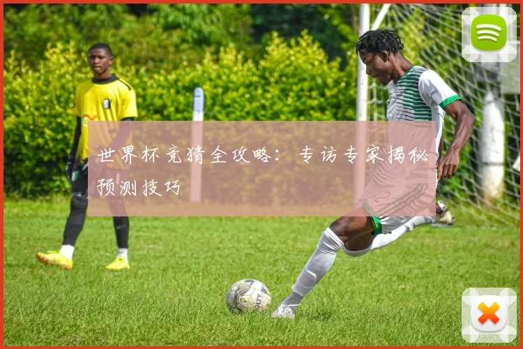 世界杯竞猜全攻略:专访专家揭秘预测技巧