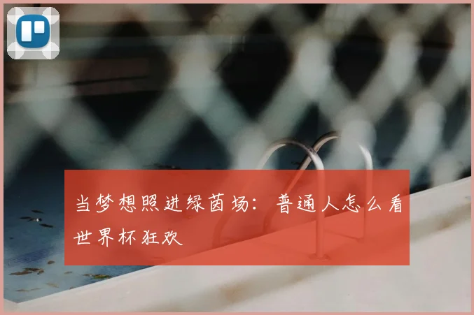 当梦想照进绿茵场：普通人怎么看世界杯狂欢