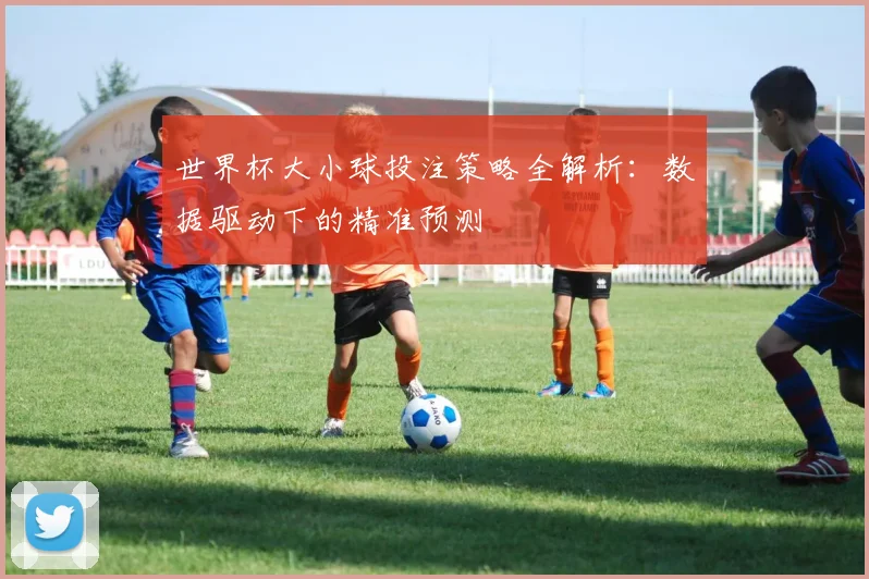 世界杯大小球投注策略全解析：数据驱动下的精准预测