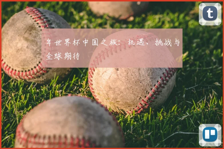 年世界杯中国之旅:机遇、挑战与全球期待