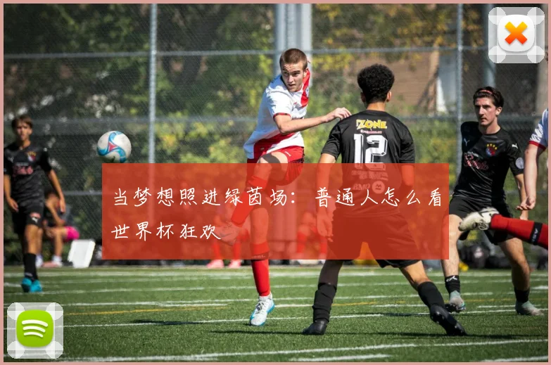 当梦想照进绿茵场：普通人怎么看世界杯狂欢