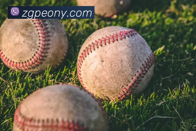 博亚体育app官方入口品牌故事